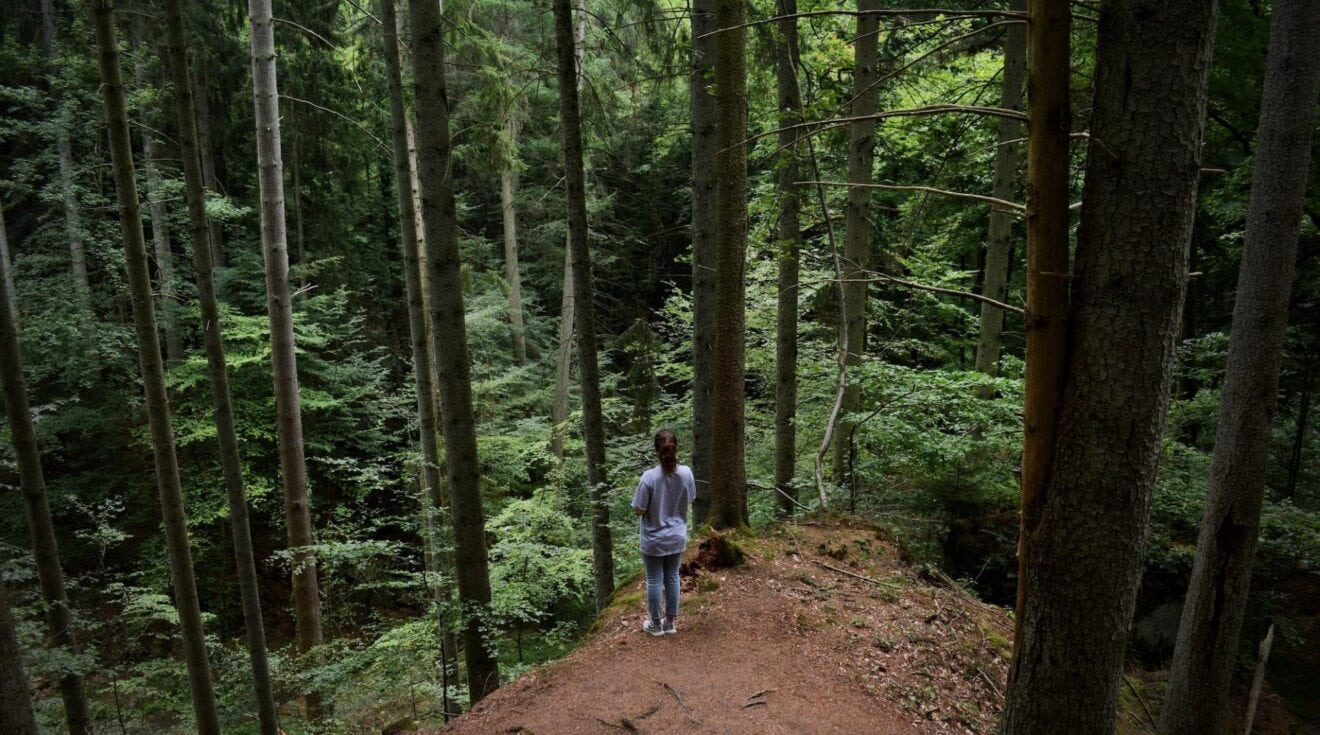 Person in forest riccardo mion unsplash 1320x735 1